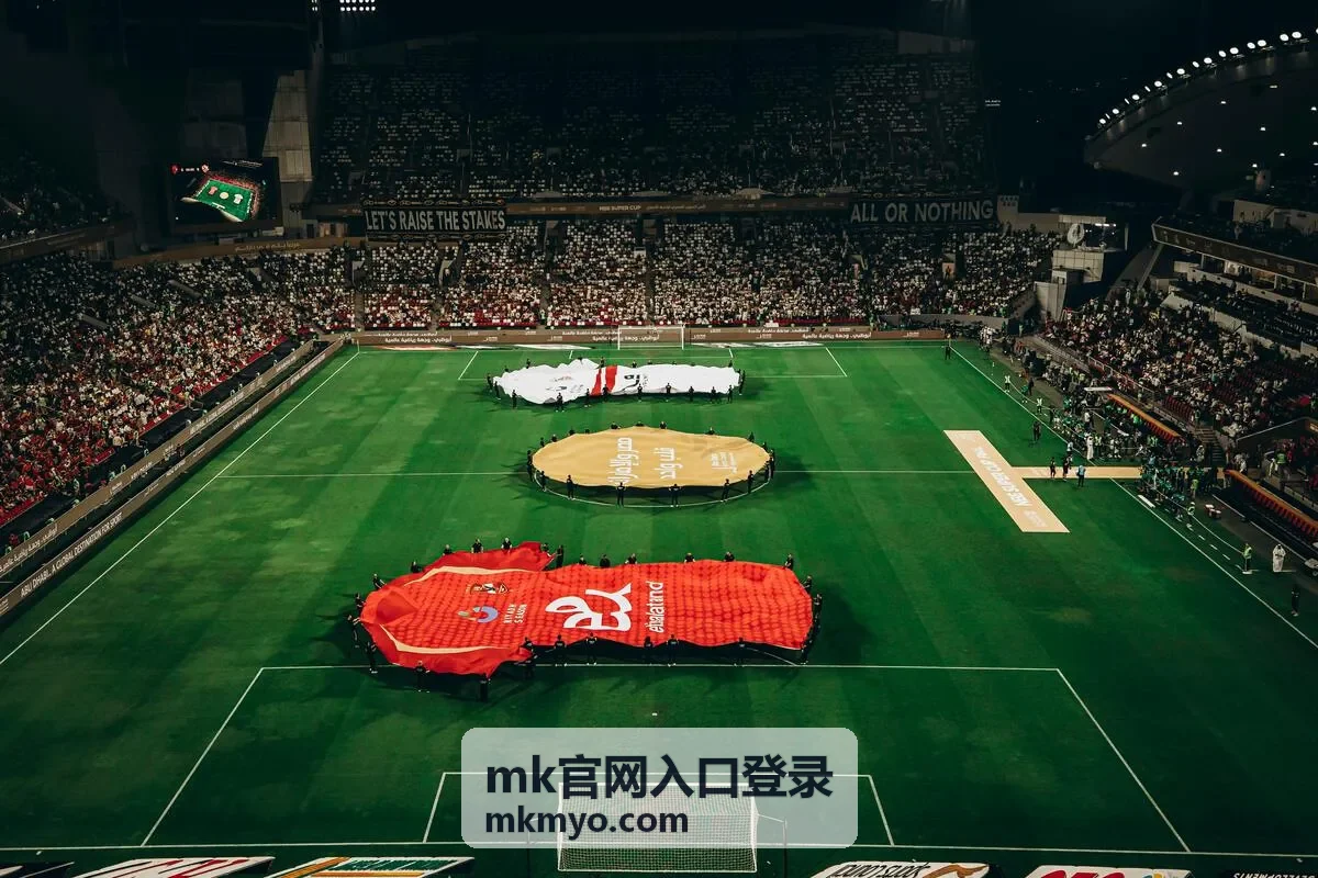 mk官网入口登录 账号验证与登录流程示意